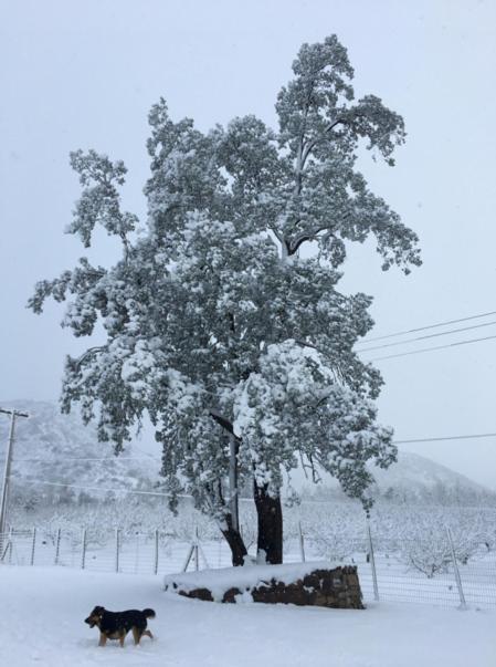 Posada Del Jinete San José de Maipo Екстериор снимка